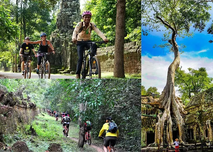 Indochine D'angkor Siem Reap